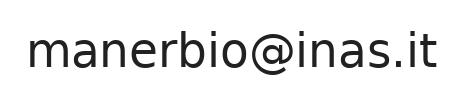Email ufficio