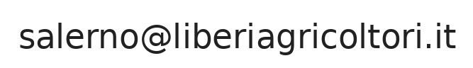 Email ufficio