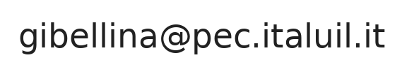 PEC ufficio