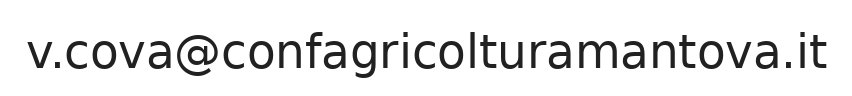 Email responsabile