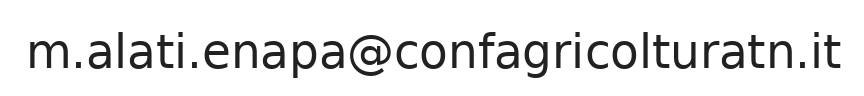 Email responsabile