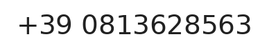 Telefono responsabile