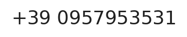 Telefono responsabile