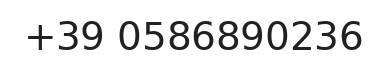 Telefono responsabile