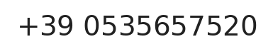 Telefono responsabile