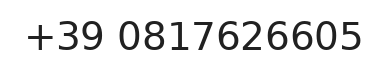Telefono responsabile