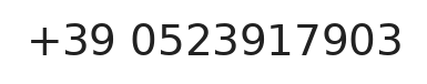 Telefono responsabile