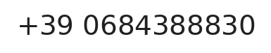 Telefono responsabile