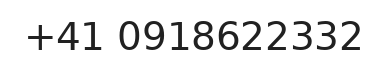 Telefono responsabile