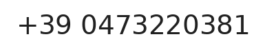 Telefono responsabile